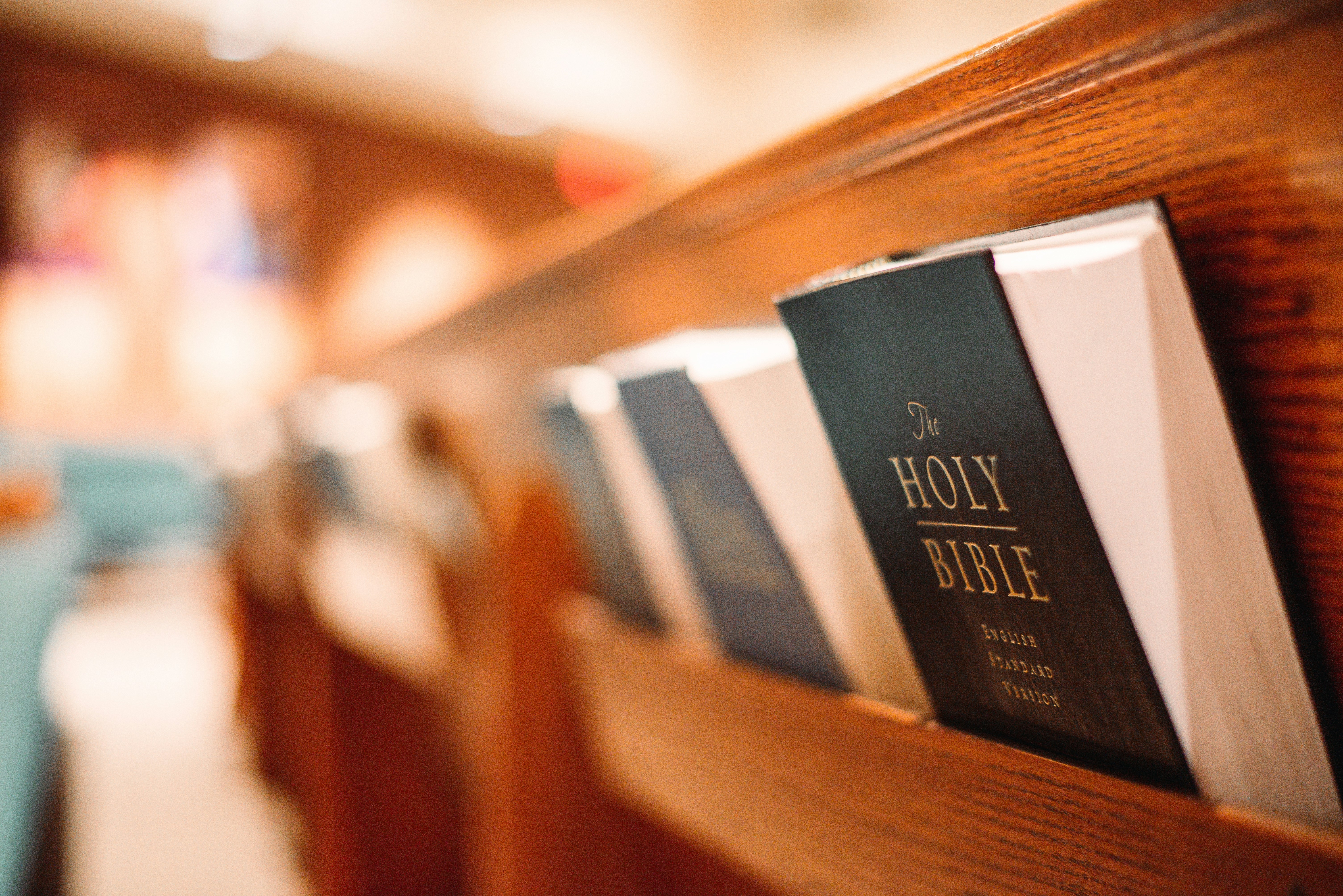 The Holy Bible